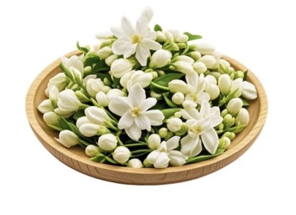 Detoxifying and Beauty-Enhancing Tea / Jasmine + Dried Tangerine Peel + Rose