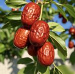 Sleep-aiding /beauty tea/Rose + Red Date + Mulberry Dried + Wolfberry