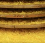 Chrysanthemum tea/200g