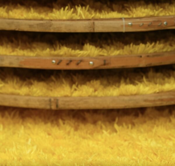 Chrysanthemum tea/200g