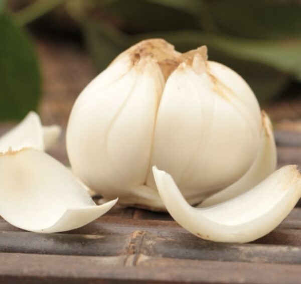 Sleep-aiding Tea / Rose + Red Dates + Lily + Wolfberry