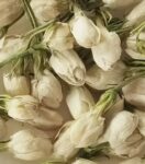 Acne-removing and detoxifying tea/Rose + Jasmine/Lemon + Jasmine